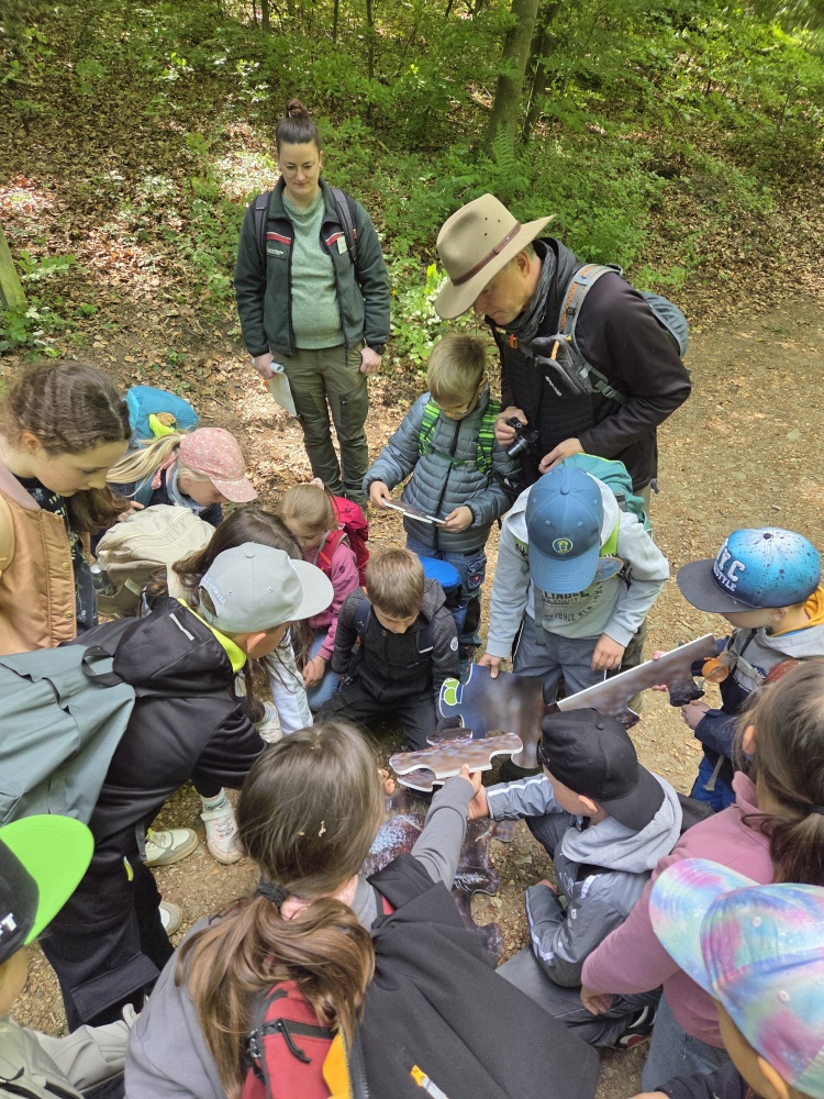 Waldjugendspiele Grundschule Nastberg, Andernach-Eich