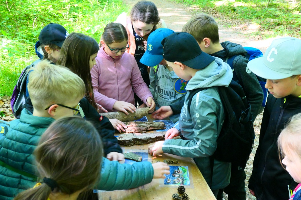 Waldjugendspiele Grundschule Nastberg, Andernach-Eich