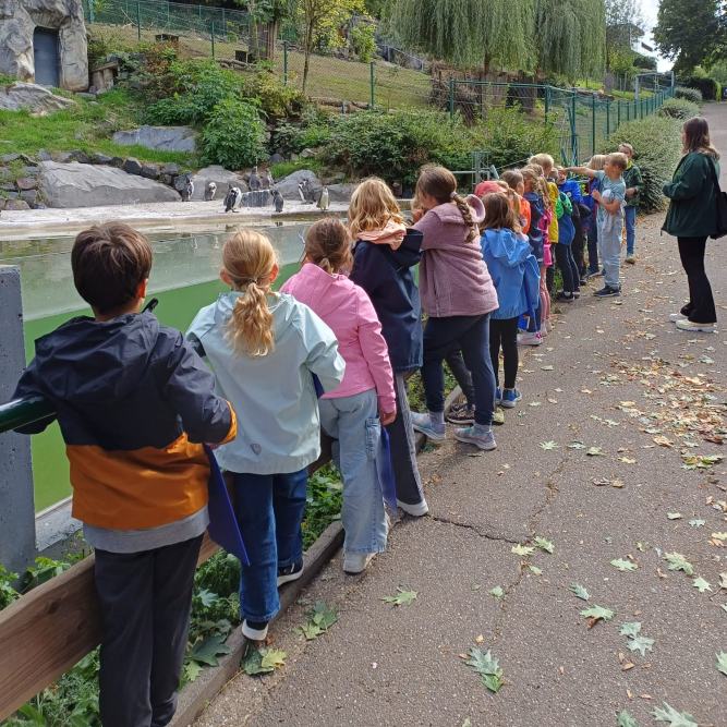 Zoobesuch der Grundschule Nastberg, Andernach-Eich